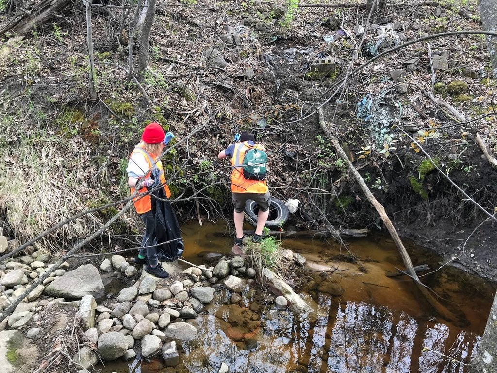 Students cleaning in a creek