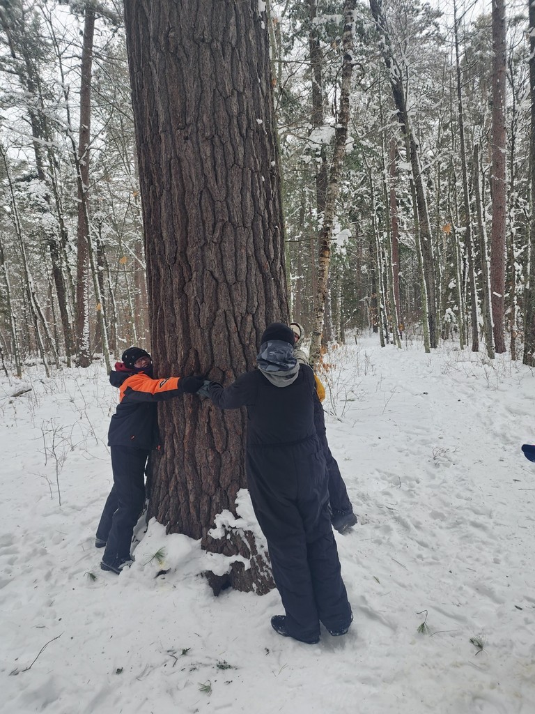 Lost Forty tree hug